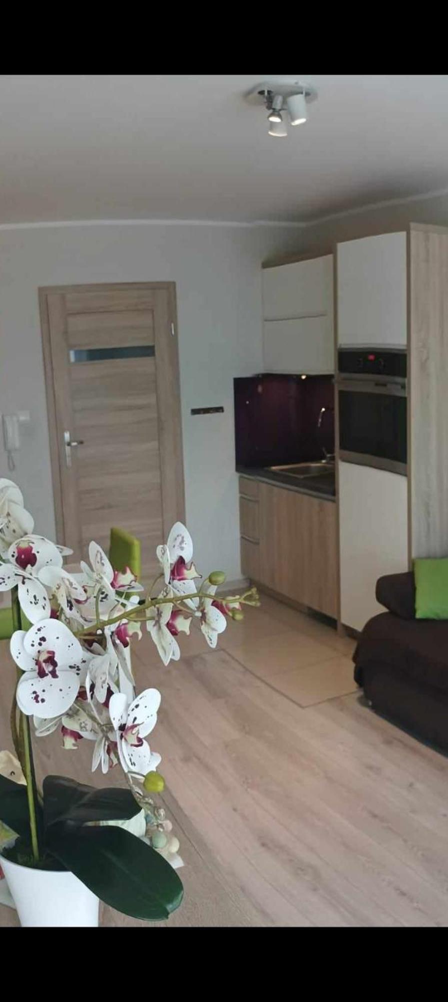 Apartament Zielona Wydma Леба Екстериор снимка